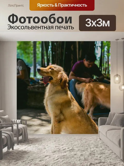 Фотообои Золотой