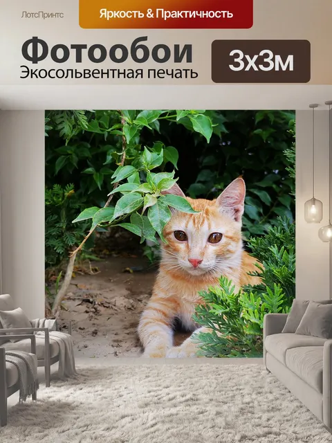 Фотообои Кошка