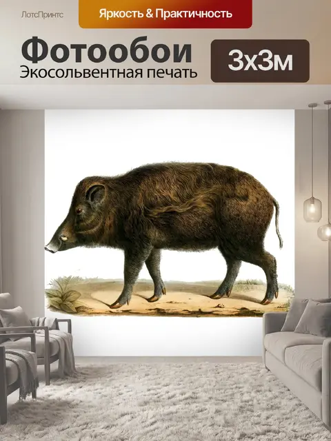Фотообои Винтажный клипарт дикий кабан