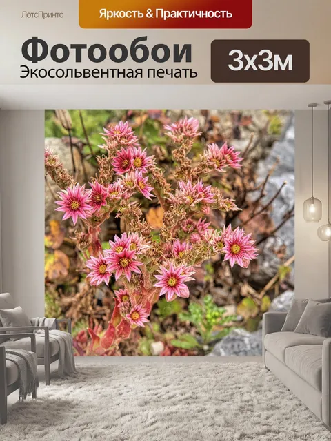 Фотообои Цветы