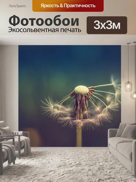 Фотообои Одуванчик