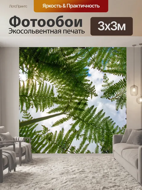 Фотообои папоротник