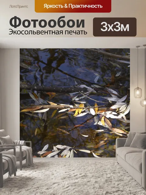 Фотообои Глядя в воду
