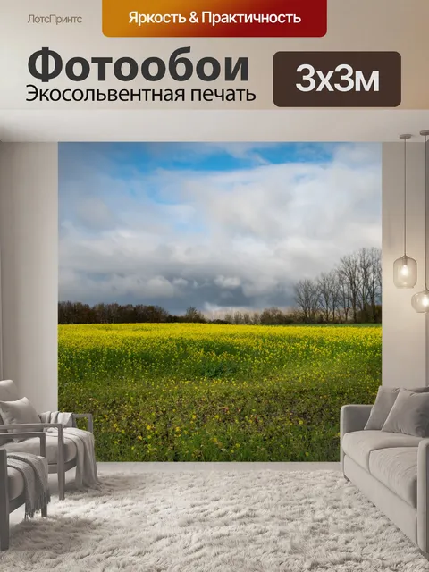 Фотообои Пейзаж, сельский, рапсовое поле