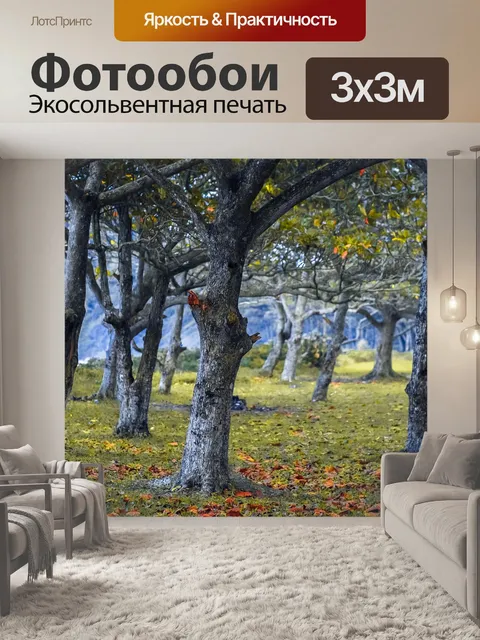 Фотообои Лес