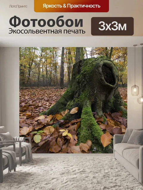Фотообои Падение
