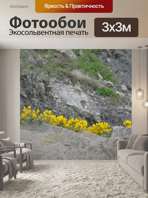 Фотообои Цветы