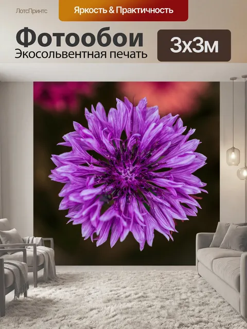 Фотообои Цветы