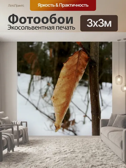 Фотообои Осенний лист