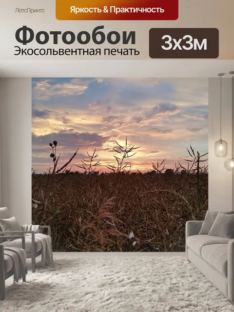 Фотообои Запад