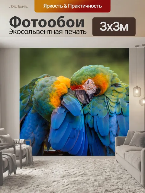 Фотообои Птица