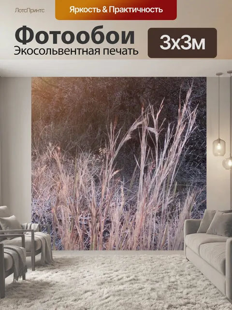 Фотообои утрачен солнце на траве