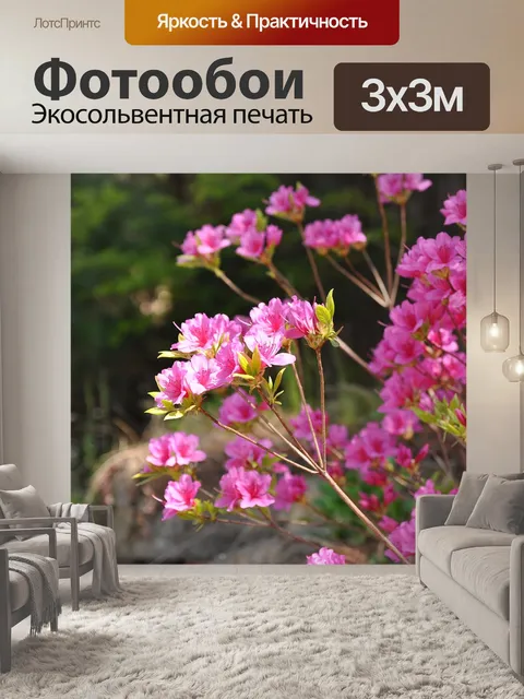 Фотообои Азалия