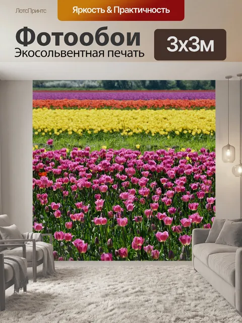 Фотообои Тюльпаны
