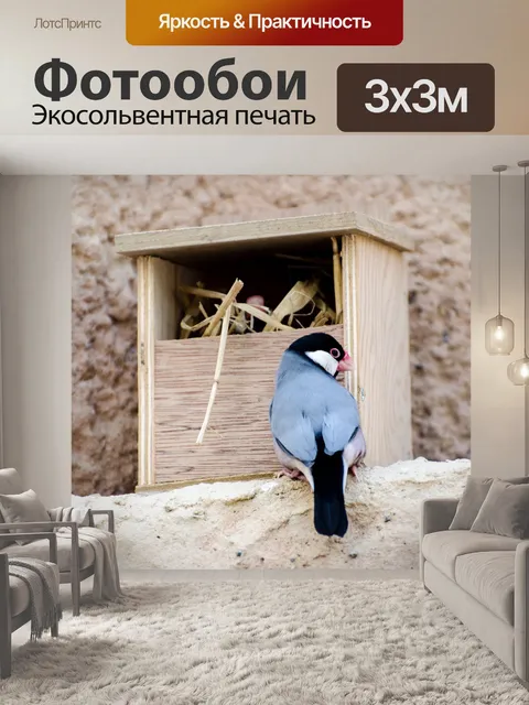 Фотообои Птица