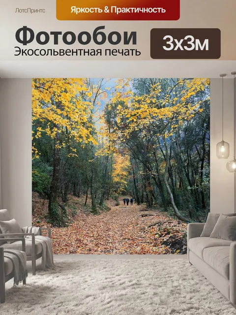 Фотообои Лес