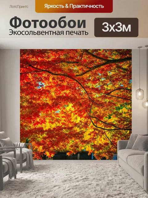 Фотообои англия, яркие осенние листья, когда деревья окрашены в красный, оранжевый и золото, создавая эффект пламени