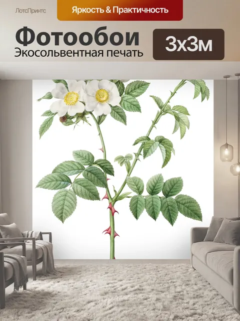 Фотообои Старинные цветы искусство старый