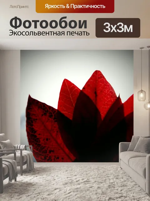 Фотообои Листья