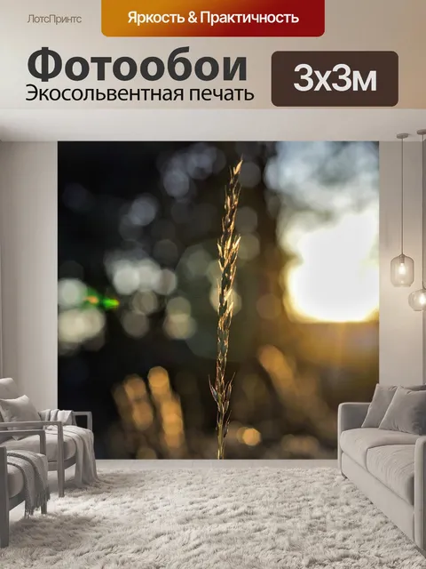 Фотообои Закат