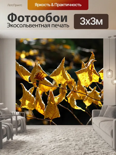 Фотообои Осень