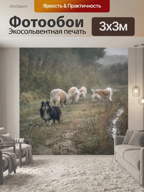 Фотообои Луг