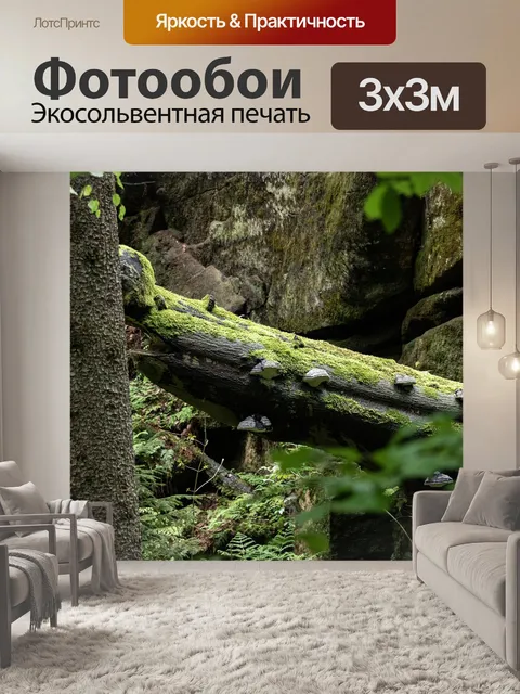 Фотообои Дерево