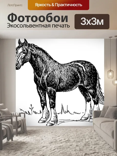 Фотообои Carthorse