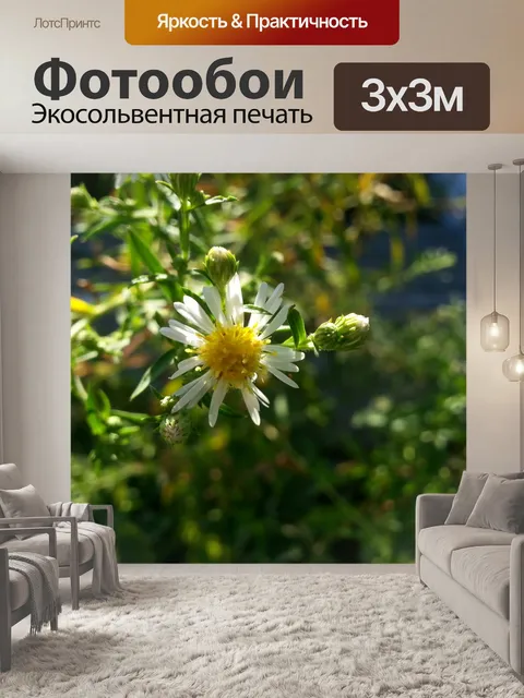 Фотообои Полевые цветы