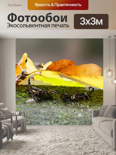 Фотообои Природа