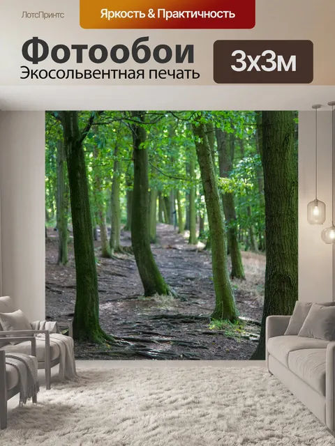 Фотообои лес