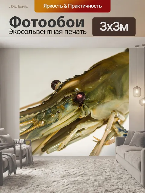 Фотообои Свежие приготовленные креветки фон мореп