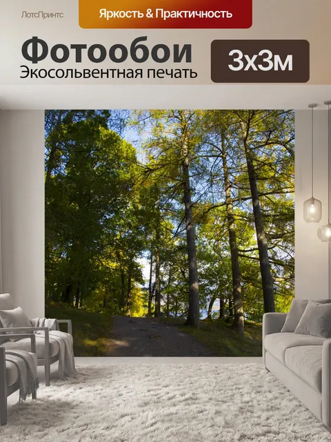 Фотообои лес
