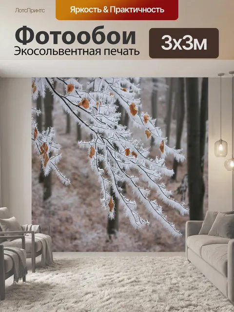 Фотообои Седой изморозь