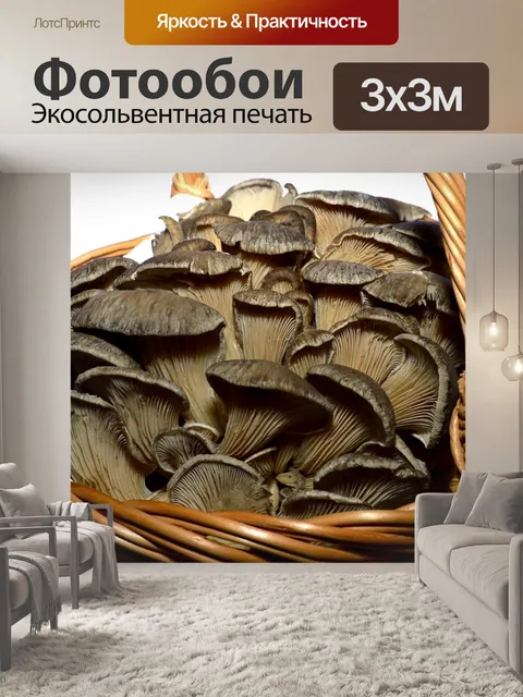Фотообои Гриб