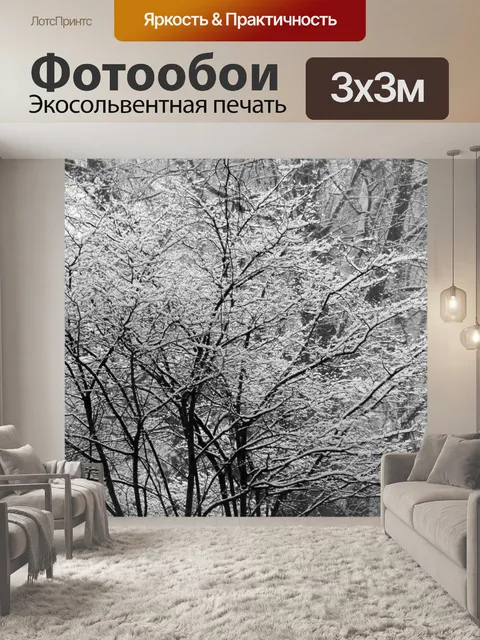 Фотообои Фон
