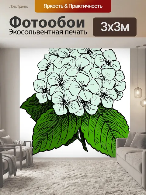 Фотообои Биология