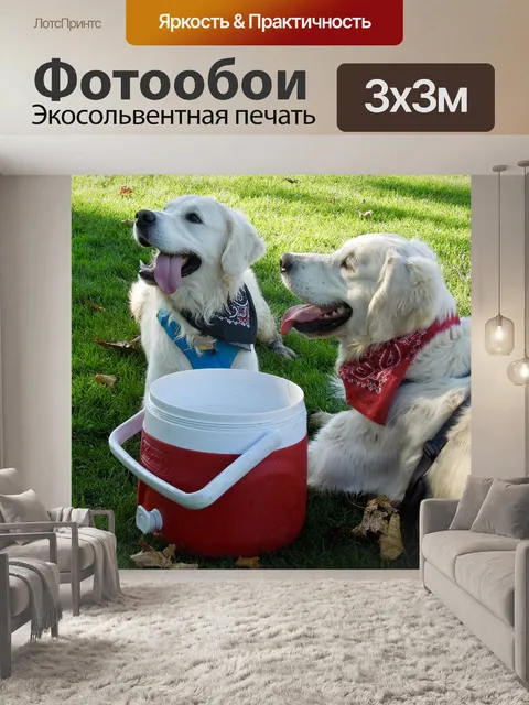 Фотообои Собаки