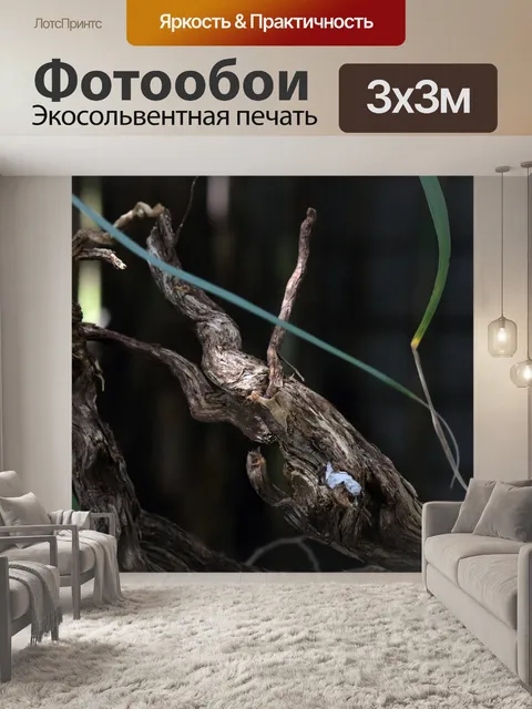 Фотообои старый скрученный корявый лес в саду