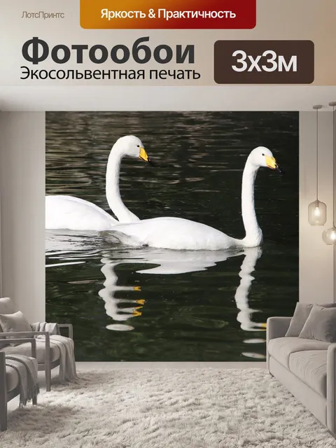 Фотообои Лебеди