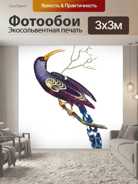 Фотообои Птица старинный художественный плакат
