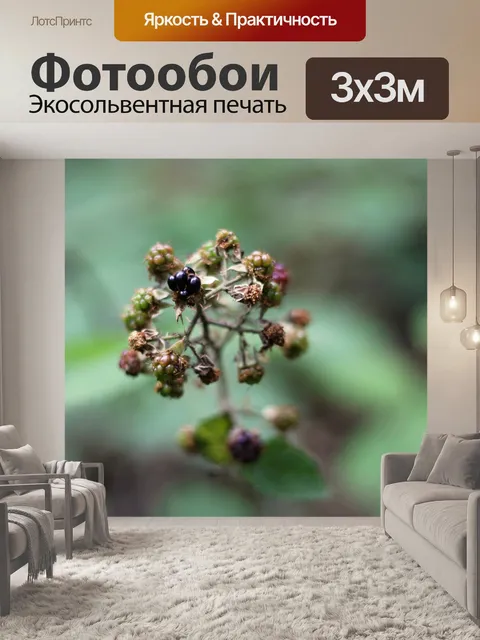 Фотообои Лес