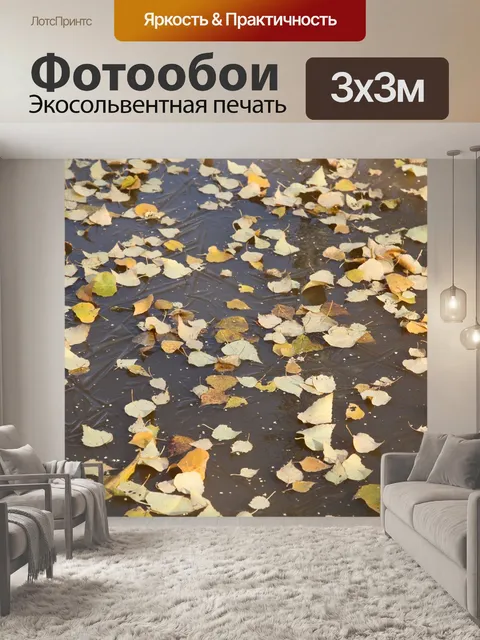 Фотообои Осенняя листва