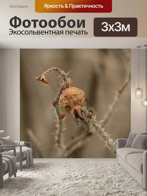 Фотообои Природа