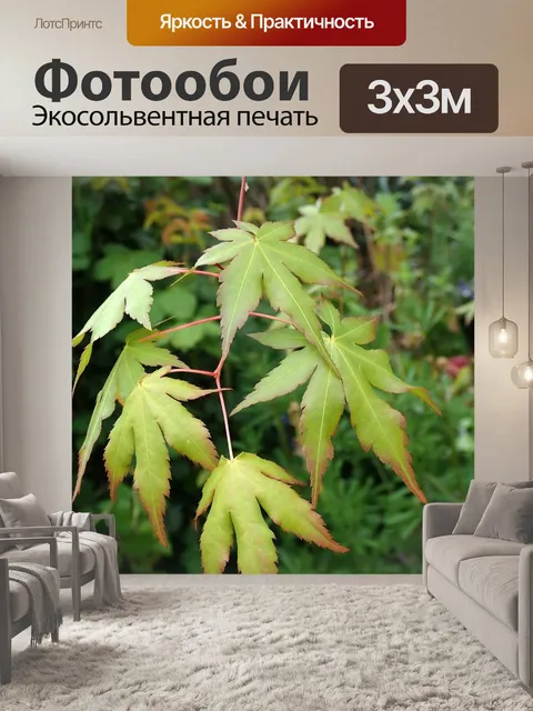 Фотообои Листья