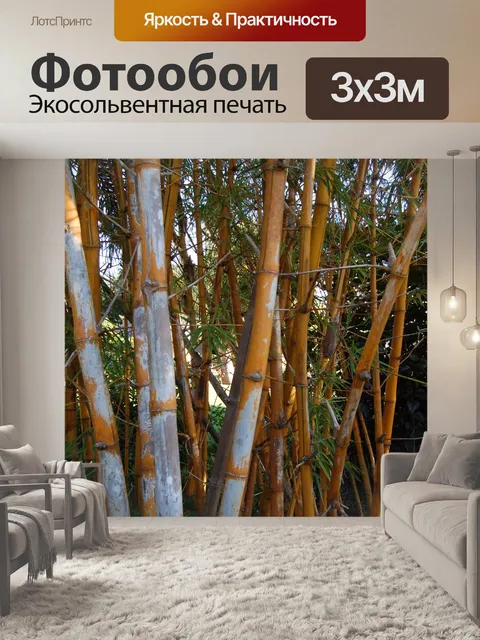 Фотообои Бамбук