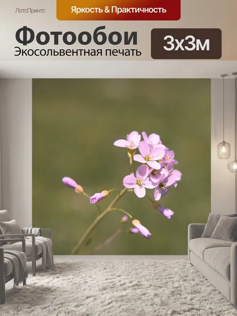 Фотообои Подонок