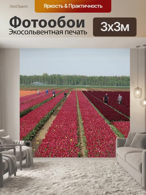 Фотообои Тюльпаны