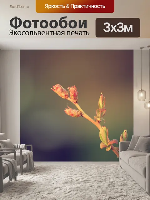 Фотообои Бутоны