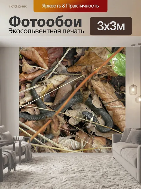 Фотообои Линия
